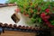 Historic house in with Adobe roof, bougainvillea blooming