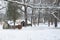 Historic huts in snow covered woods in the winter