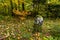 Historic landmark on the hiking trail in the Danube Valley in autumn