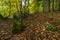 Historic landmark on the hiking trail in the Danube Valley in autumn