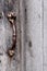 Historic log cabin door handle