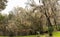 Historic Middleton Plantation and Gardens in Charleston, South Carolina