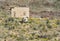 Historic mining ruins, Oatman Arizona