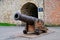 Historic Muzzle Loading Cannon, Belgrade, Serbia