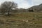 Historic old stone house in the farm. There are trees around