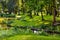 Historic park surrounding XVI century Rozalin Palace with vintage trees and ponds in Rozalin village in Mazovia region of Poland