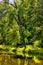 Historic park surrounding XVI century Rozalin Palace with vintage trees and ponds in Rozalin village in Mazovia region of Poland