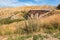 Historic railway bridge at Otago Central rail trail in New Zealand