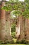 Historic Sheldon Church ruins in Charleston, South Carolina