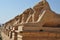 Historic, site, ancient, history, monument, statue, sculpture, archaeological, unesco, world, heritage, temple, sand, carving, roc