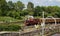 Historic Steam Train on District Line, Ealing