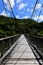 Historic Tauranga Bridge across the Waioeka River in Bay of Plenty in New Zealand