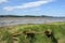 Historic tidal river bank erosion protection scheme at Purton Hulks, Gloucestershire, UK