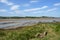 Historic tidal river bank erosion protection scheme at Purton Hulks, Gloucestershire, UK