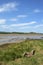 Historic tidal river bank erosion protection scheme at Purton Hulks, Gloucestershire, UK