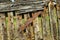 Historic tidal river bank erosion protection scheme at Purton Hulks, Gloucestershire, UK