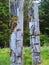 Historic Totem Poles, Ninstints, Haida Gwaii,