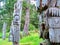 Historic Totem Poles, Ninstints, Haida Gwaii,