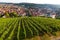 Historic town esslingen germany on the neckar river