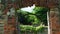 Historic waterwheel near Speyside on the Caribean Island of Tobago from the Atlantic Ocean