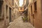 An historical alley in Ferrara in Italy 2