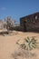 Historical buiding and dry cactus, Fuerteventura