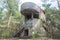 Historical bunker over trees at Hel Peninsula near Baltic sea