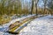 Historical Dutch duck decoy in wintertime