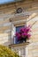 Historical facade with flowers - Bayreuth old town