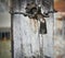 Historical faucet at an old well of a spring with a holding device made of weathered wood