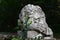 Historical garden statue of sleeping lion guardian on rectangular stone column, with climbing plant English ivy.