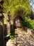 Historical garden in Tuscany