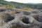 Historical grain or wine silos