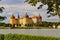 Historical hunting lodge Moritzburg, baroque lodge Moritzburg