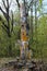 A historical monument. An ancient Chuvash pagan idol a carved wooden god.