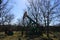 Historical Oil Pump in Spring in the Village Hademstorf, Lower Saxony