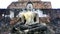 Historical Park Wat Mahathat temple bhudda statue horizontal