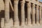 Historical pillars of Philae Temple, Aswan, Egypt