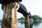 Historical River Kwai Bridge