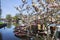 Historical ships and a magnolia in Gouda