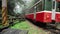 Historical Train on Railroad in Alishan National Scenic Area in Foggy Weather