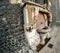 Historical water fountain on the exterior of the historic Guildhall in the city of Norwich, Norfolk