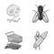 History, trade and other monochrome icon in cartoon style.sport, insect icons in set collection.