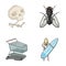 History, trade and other web icon in cartoon style.sport, insect icons in set collection.