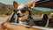 Hit the Highway with Your Pooch Chihuahua Dog in Sunglasses and Leash on Summer Journey - Generative AI