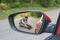 Hit and run concept. View on injured man on road in rear mirror of a car