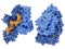 HIV-1 reverse transcriptase