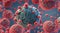 HIV Virus Particles Budding away from T Lymphocytes Cell