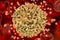 HIV viruses infecting T-lymphocyte