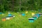 Hives in an apiary in a spring garden. Honey business concept